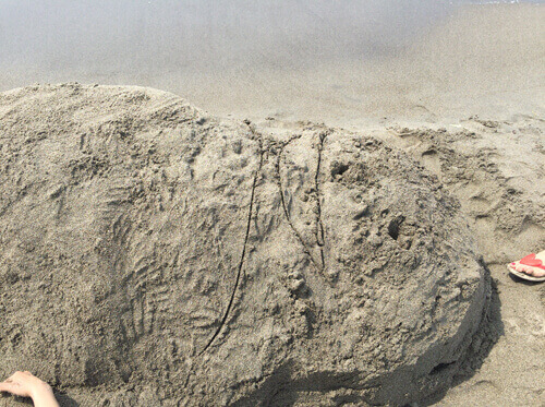 本気砂遊び（砂アート？）のリハーサルの画像